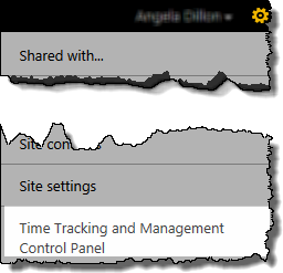 The TTM Control Panel link in Site Actions.