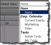 Image: Select view drop down selector displaying names of configured views grouped by list name