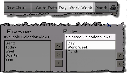 Image of Day and Work Week views in the calendar toolbar