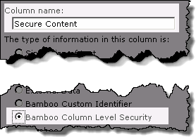 Image of the SharePoint Create Column screen