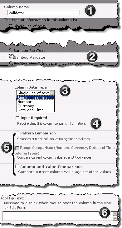 Image of the Validator Column configuration screen