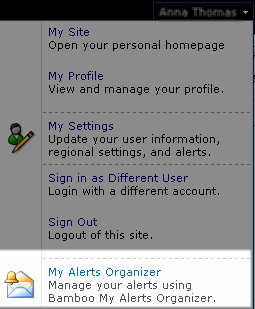 Image of user drop down menu on SharePoint 2010