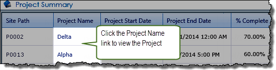 Detail of the Project Name column in the Project Summary dashboard