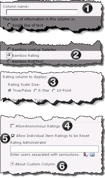 Image of the Rating column configuration screen