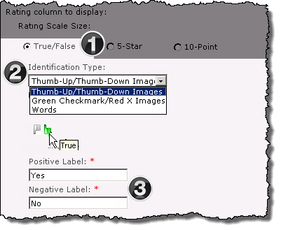 Expanded image of the configuration options available when the True/False radio button is selected